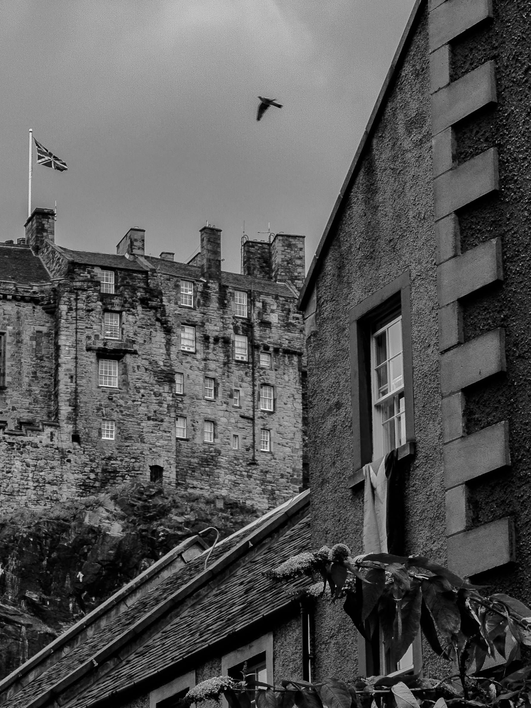 An amateur's study of Auld Reekie